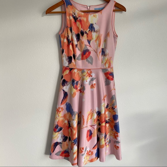 Antonio Melani Floral Fit and Flare dress size 0. In great condition - Picture 5 of 16